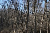 Undeveloped Land for sale in Will County, Illinois