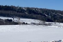 Undeveloped Land for sale in Dickinson County, Michigan