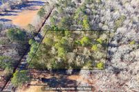 Undeveloped Land for sale in Laurens County, Georgia