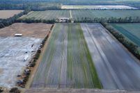 Land for sale in Flagler County, Florida