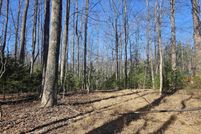 Undeveloped Land for sale in Greene County, Virginia
