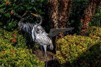 Land for sale in Collier County, Florida