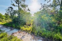 Land for sale in Osceola County, Florida