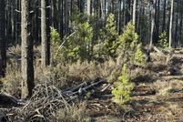 Undeveloped Land for sale in Klamath County, Oregon