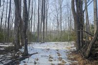 Farm and Ranch for sale in Greene County, Virginia