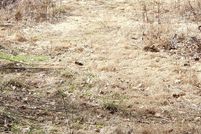 Land for sale in Unicoi County, Tennessee