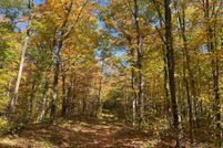 Land for sale in Langlade County, Wisconsin
