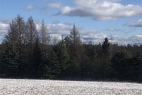 Waterfront Property for sale in Kalkaska County, Michigan