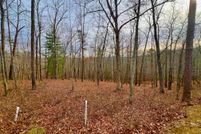 Land for sale in Gilmer County, Georgia