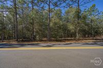 Undeveloped Land for sale in Effingham County, Georgia