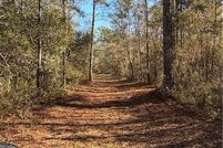 Land for sale in Effingham County, Georgia