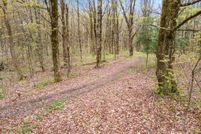 Land for sale in Chenango County, New York