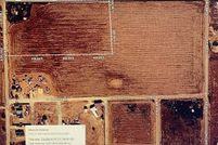 Undeveloped Land for sale in Floyd County, Texas