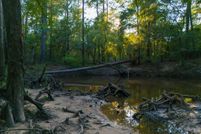 Land for sale in Hardin County, Texas