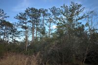 Timberland Property for sale in Osceola County, Florida