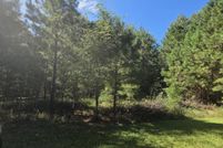 Undeveloped Land for sale in Jenkins County, Georgia