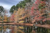 Undeveloped Land for sale in Columbia County, Georgia
