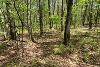 Land for sale in Clearfield County, Pennsylvania