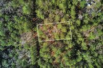 Land for sale in Jasper County, Texas