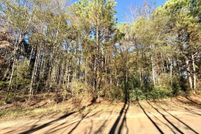Land for sale in Panola County, Texas