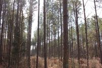 Farm and Ranch for sale in Nacogdoches County, Texas