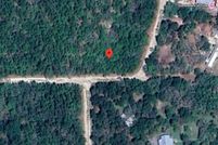 Land for sale in Lafayette County, Florida