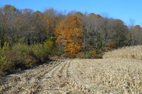 Land for sale in Rush County, Indiana