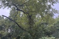 Undeveloped Land for sale in Monroe County, Ohio