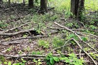 Land for sale in Cheboygan County, Michigan