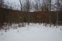 Land for sale in Tioga County, New York