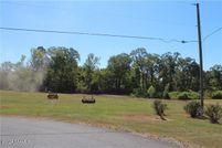 Timberland Property for sale in Rapides Parish, Louisiana