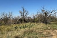 Land for sale in Mitchell County, Texas