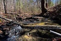 Undeveloped Land for sale in McCreary County, Kentucky