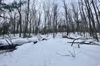 Undeveloped Land for sale in Otsego County, Michigan