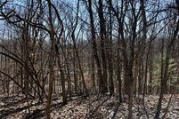 Undeveloped Land for sale in Columbiana County, Ohio