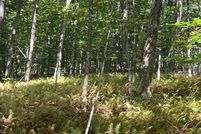 Undeveloped Land for sale in Berkshire County, Massachusetts