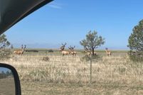 Land for sale in Lincoln County, Colorado