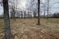 Undeveloped Land for sale in Faulkner County, Arkansas