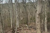 Land for sale in Pickens County, Georgia