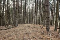 Land for sale in Floyd County, Virginia