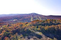 Land for sale in Windham County, Vermont