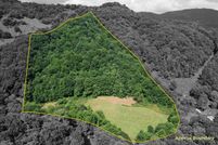 Land for sale in Madison County, North Carolina