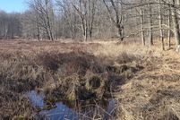 Land for sale in Osceola County, Michigan
