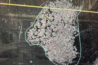 Timberland Property for sale in Waupaca County, Wisconsin
