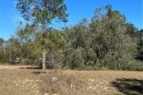 Farm and Ranch for sale in Citrus County, Florida