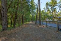 Homesite for sale in Josephine County, Oregon