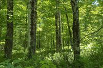 Land for sale in Gogebic County, Michigan