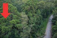 Undeveloped Land for sale in Montgomery County, Texas