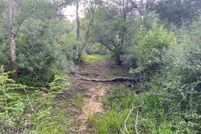 Land for sale in Colorado County, Texas