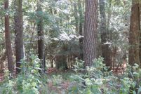 Land for sale in Walker County, Texas
